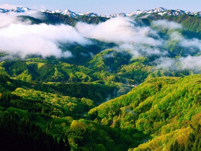 Shimla, Himachal Pradesh, India, Asia