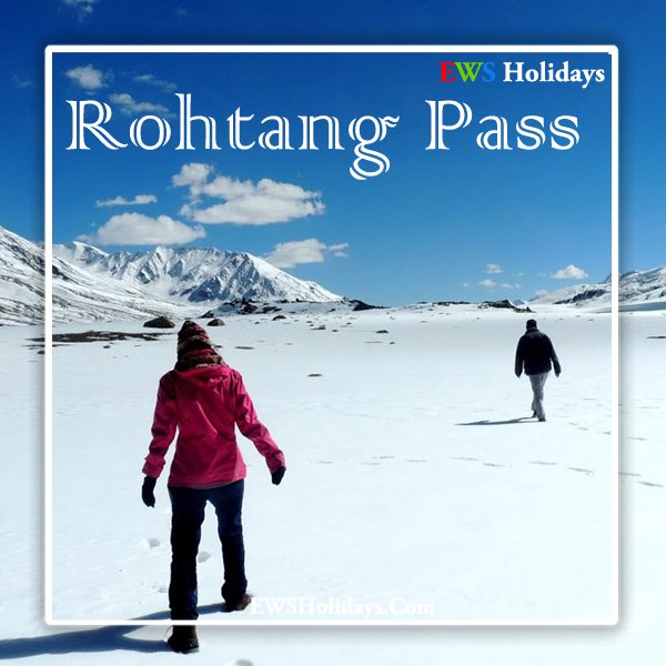 Day 5 - Manali: A Day Of Adventure at Solang Valley/ Rohtang Pass (51 km./Approx.1.5 Hrs)